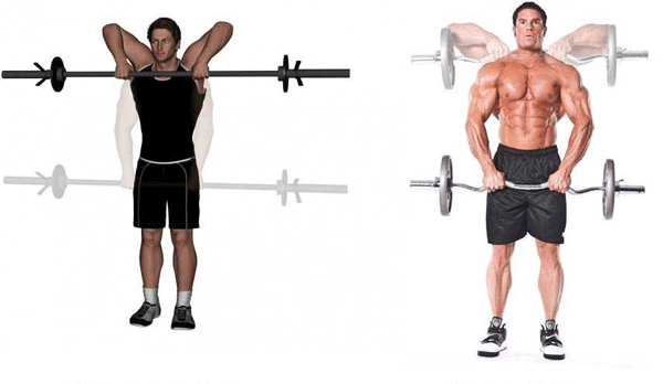 barbell-upright-row-exercise-1